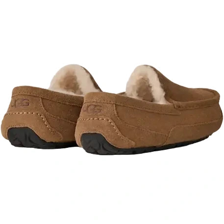 Ascot Slipper