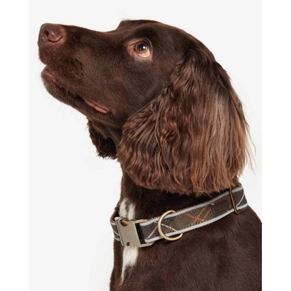 Reflective Dog Collar in Classic Tartan