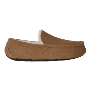 Ascot Slipper