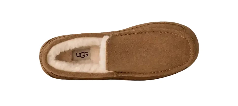 Ascot Slipper