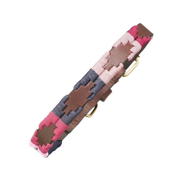 Pampa Dog Collar in Petalo