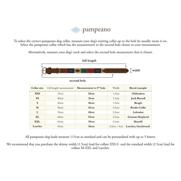 Pampa Dog Collar in Petalo