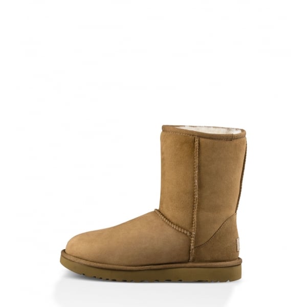 Womens Classic Short II Boot in Chestnut