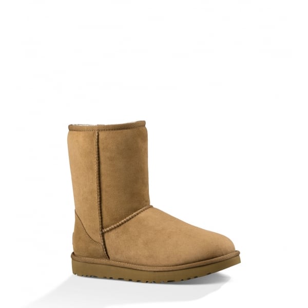 Womens Classic Short II Boot in Chestnut