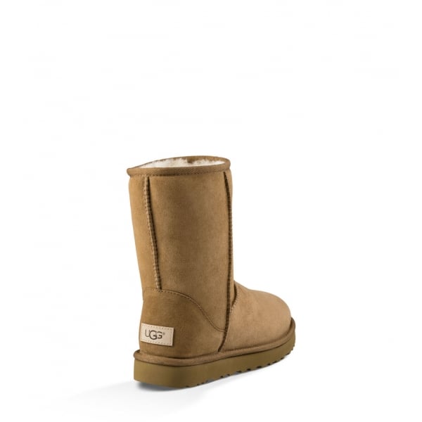 Womens Classic Short II Boot in Chestnut