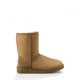 Womens Classic Short II Boot in Chestnut