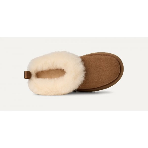 Womens Tazzelle in Chestnut